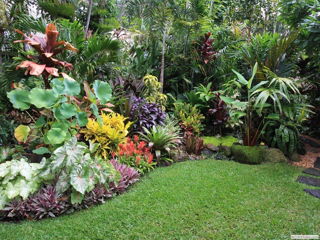 Tropical Gardens Simphome